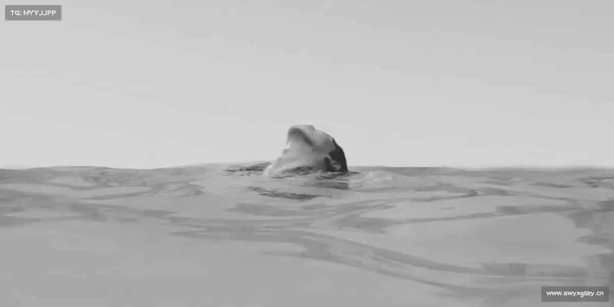 南宫NG28🏃♂️运动不止步,每一步都是新起点!